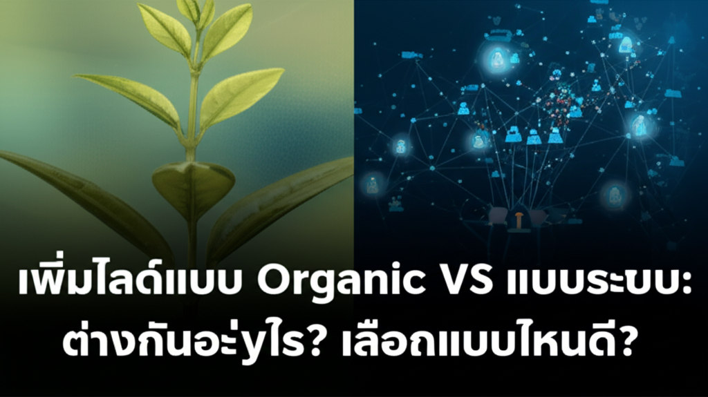 featured image 1754883065506